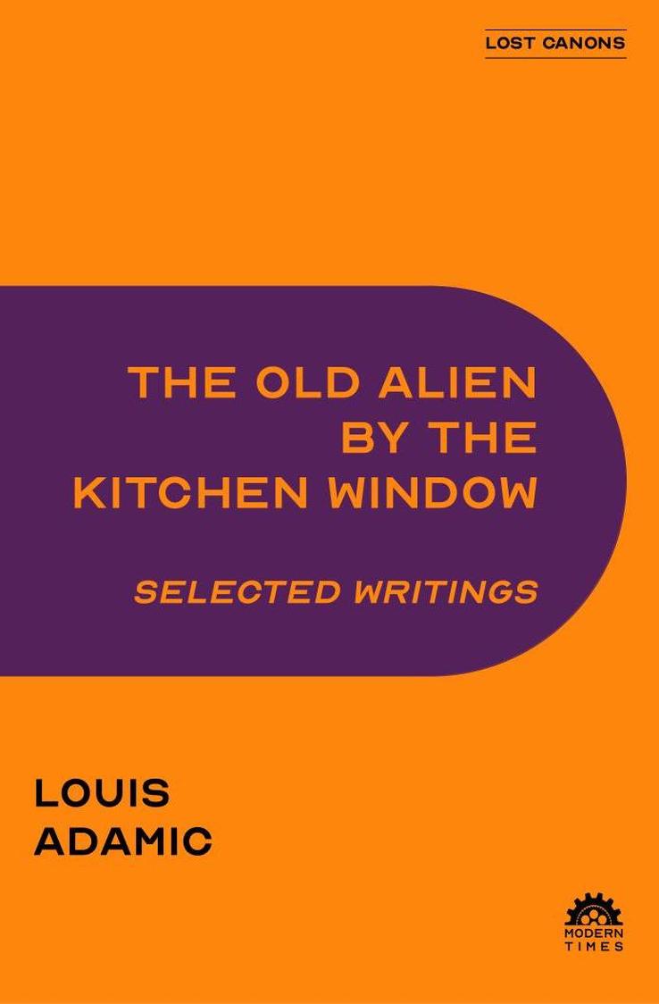 The Old Alien by the Kitchen Window